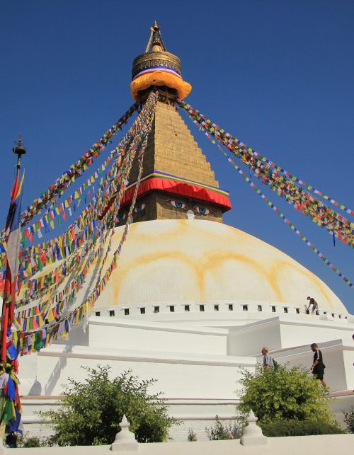 delmee nepal 908837 1920