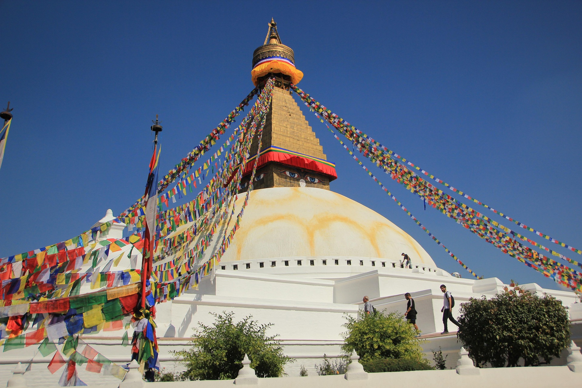 delmee nepal 908837 1920
